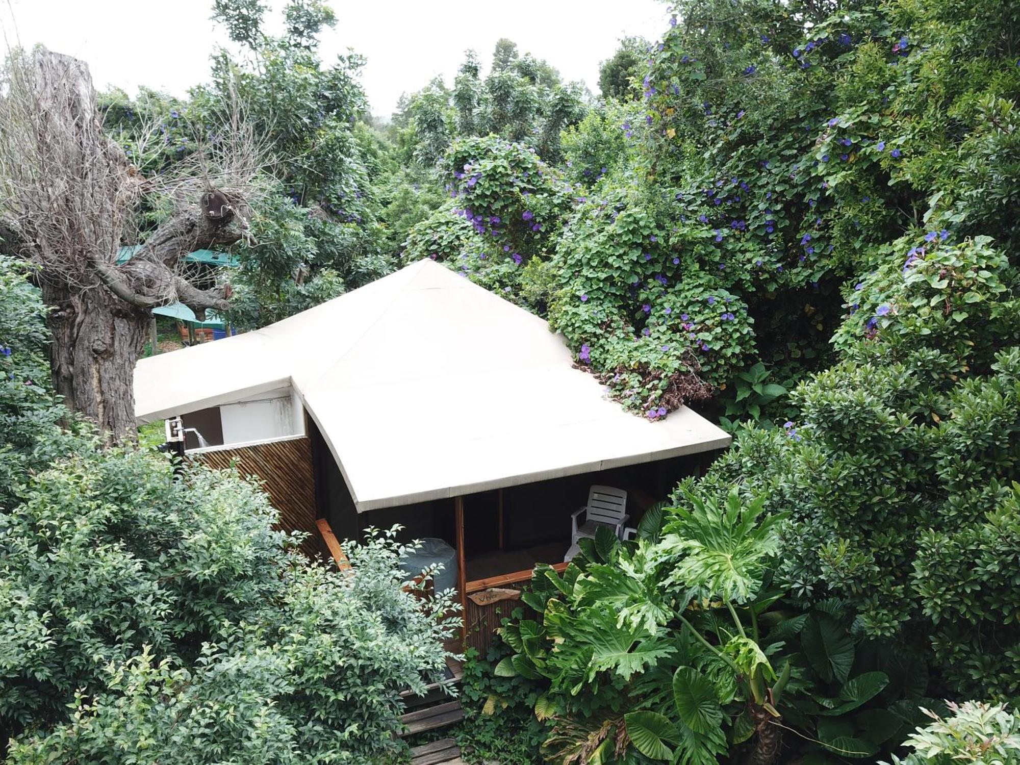Mali Boutique Lodge & Tube 'N Axe Budget Accommodation Stormsrivier Room photo